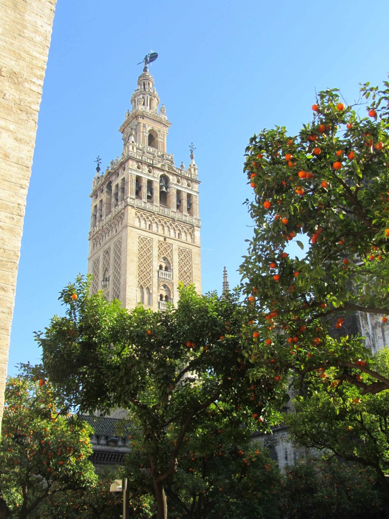 The Giralda Tower from amongst the orange trees of the Cathedral courtyard