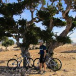 Cycling through the Argan groves, outside Imsouane