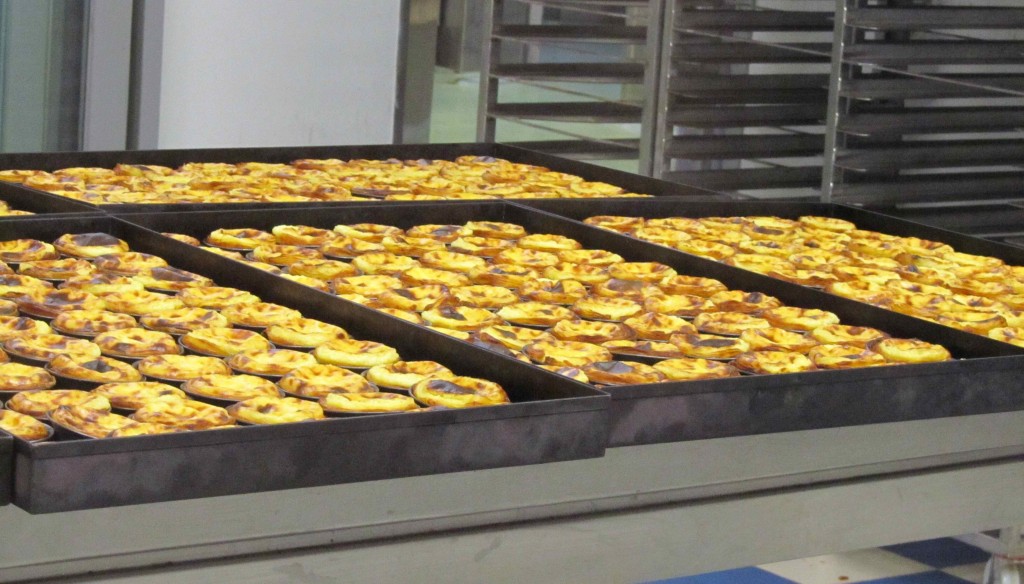 Trays of pasteis de natas, just out of the oven