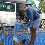 Feeding the chickens in camp, O Tamanco